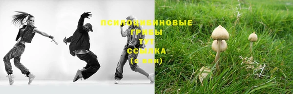 молекула духа Аркадак