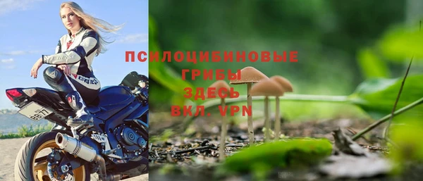 spice Армянск
