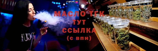 сатива Няндома