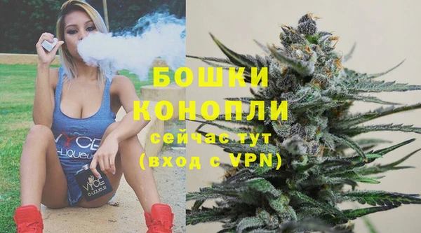 молекула духа Аркадак