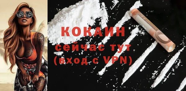 соль ск Новодвинск