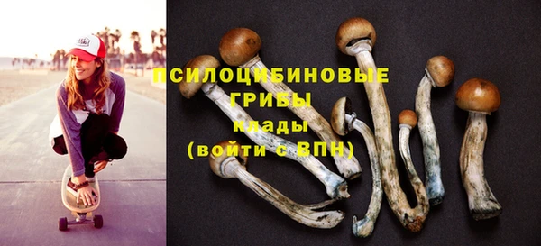 МДМА Арсеньев