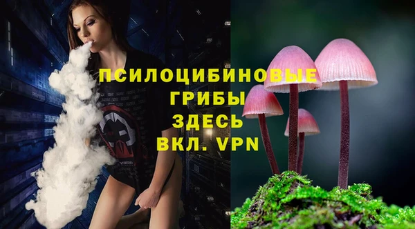 spice Армянск