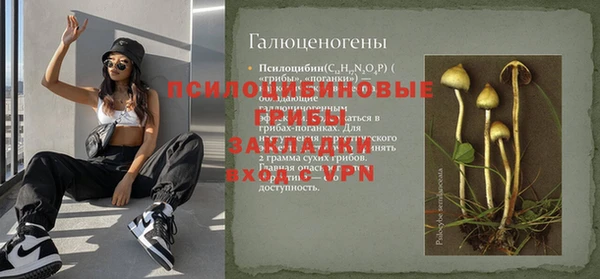 молекула духа Аркадак