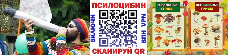 Псилоцибиновые грибы MAGIC MUSHROOMS  что такое   MEGA онион  Новосокольники 